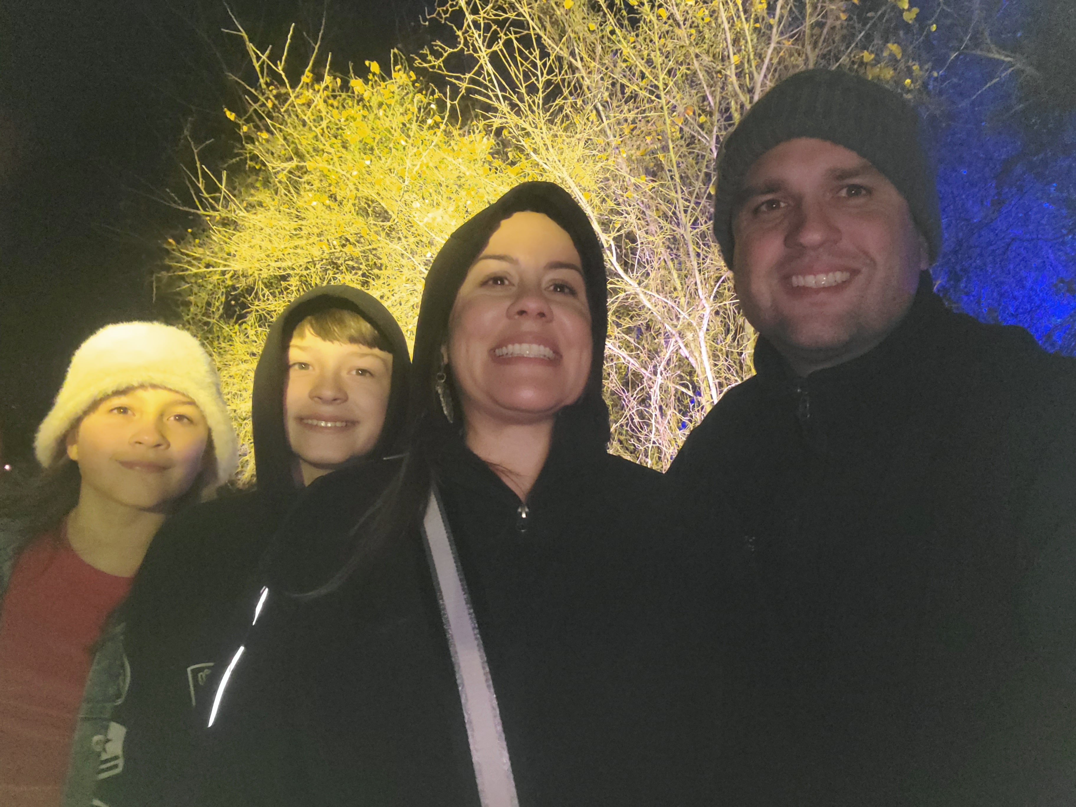Family holiday lights