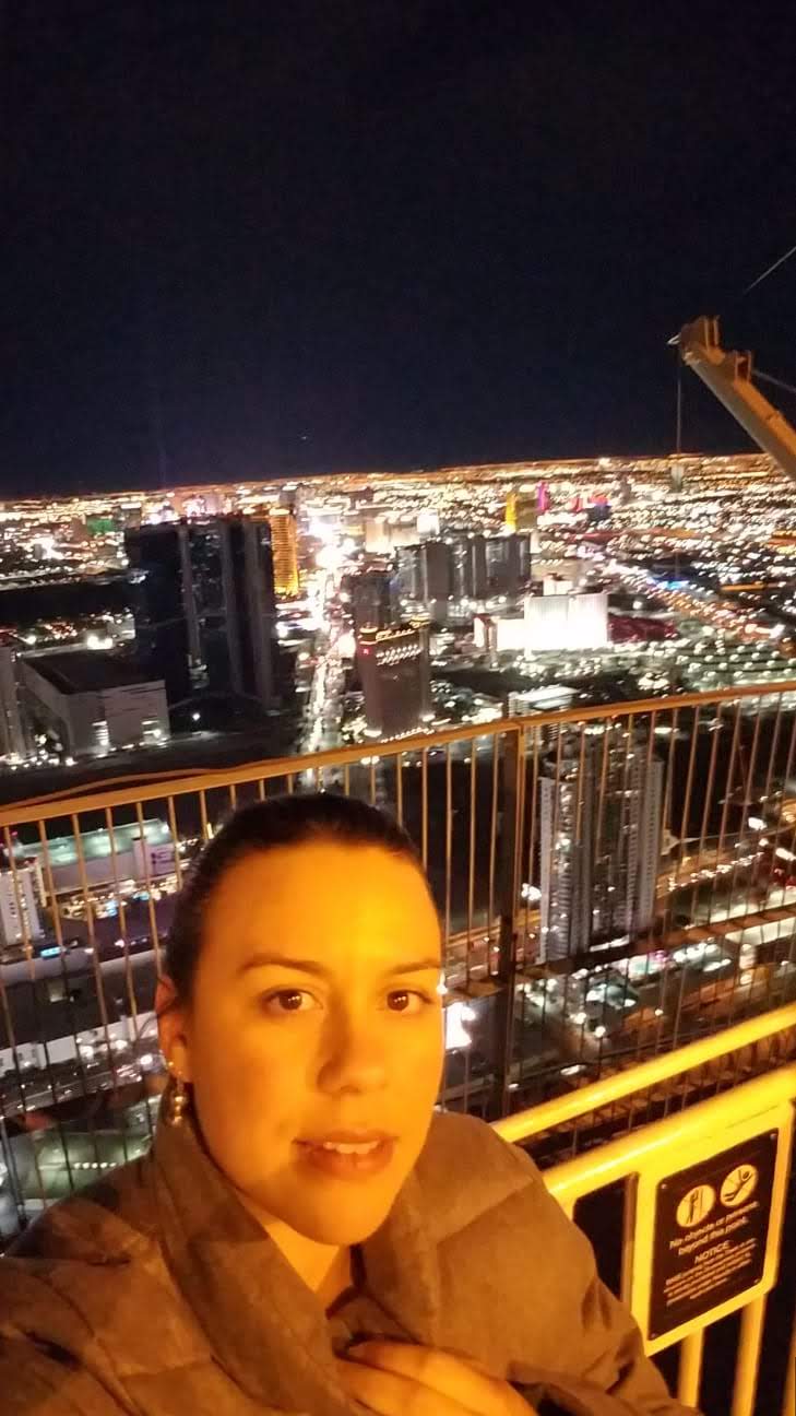 Vegas Strip from above